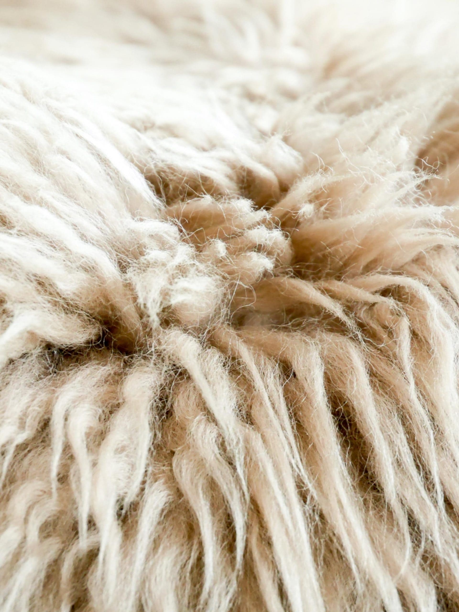 Alpaca fibre online